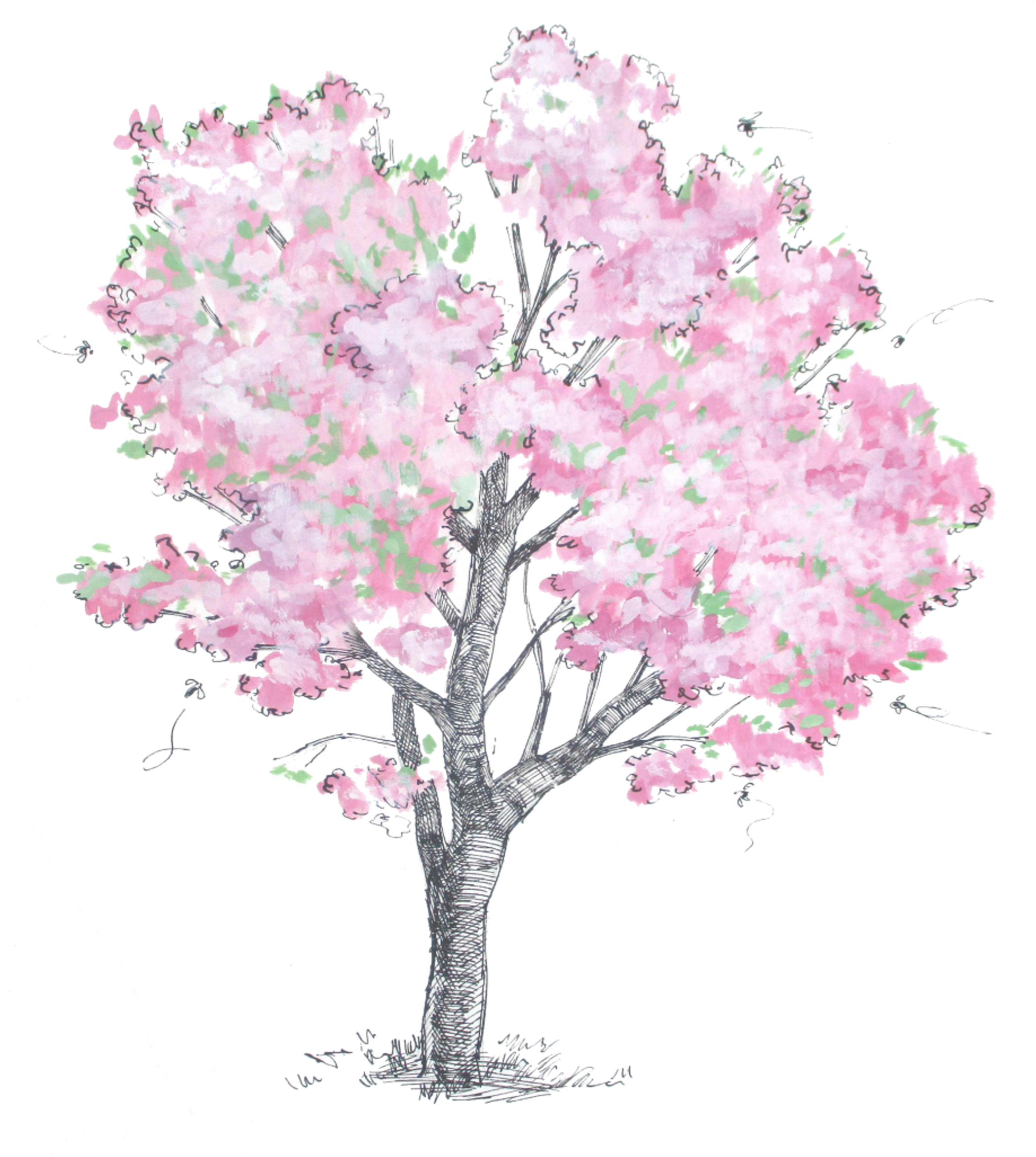 HOM_Illustration_Cherries_Tree